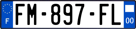 FM-897-FL
