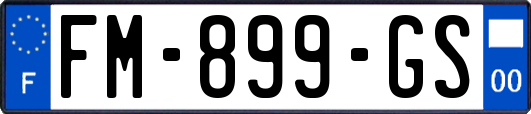 FM-899-GS
