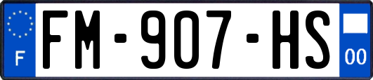 FM-907-HS