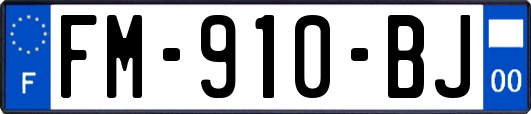 FM-910-BJ