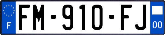 FM-910-FJ