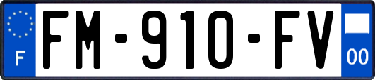 FM-910-FV
