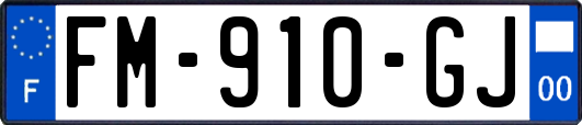 FM-910-GJ