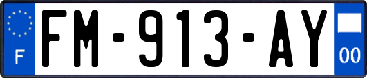 FM-913-AY