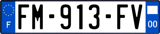 FM-913-FV