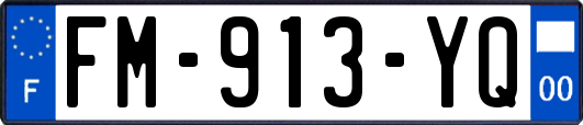 FM-913-YQ