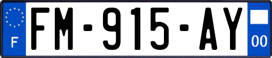 FM-915-AY