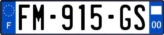 FM-915-GS