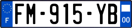 FM-915-YB