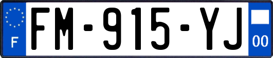 FM-915-YJ