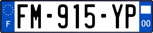 FM-915-YP