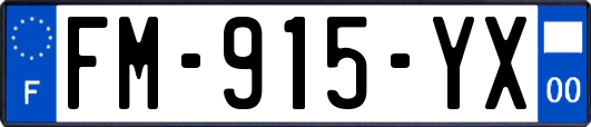 FM-915-YX