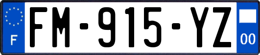 FM-915-YZ