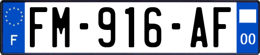 FM-916-AF