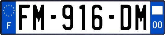 FM-916-DM