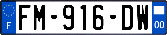 FM-916-DW