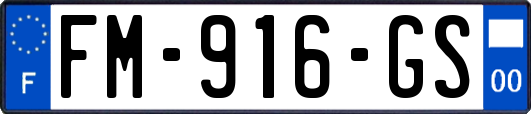 FM-916-GS