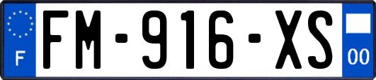 FM-916-XS