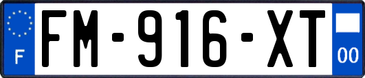 FM-916-XT
