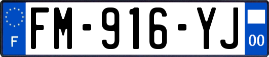 FM-916-YJ