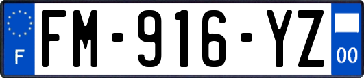 FM-916-YZ