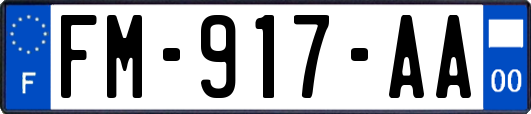 FM-917-AA
