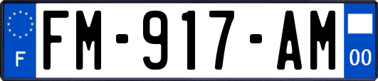 FM-917-AM