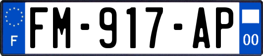 FM-917-AP