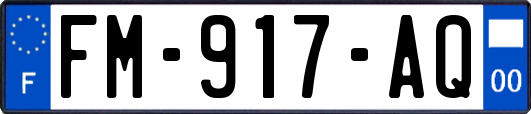 FM-917-AQ