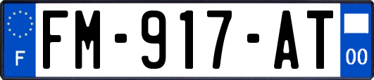 FM-917-AT