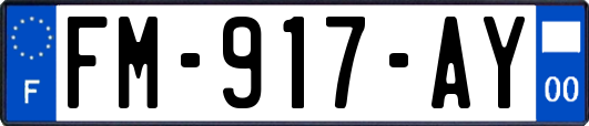 FM-917-AY
