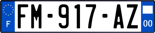 FM-917-AZ