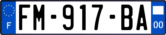 FM-917-BA