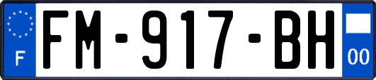 FM-917-BH