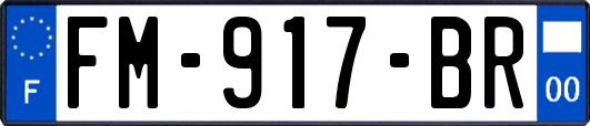FM-917-BR