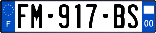 FM-917-BS