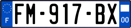 FM-917-BX