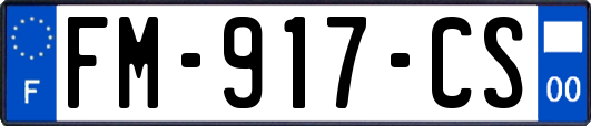 FM-917-CS