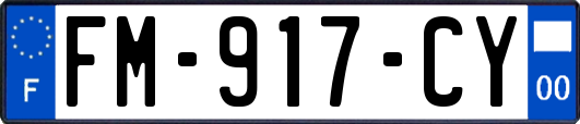 FM-917-CY