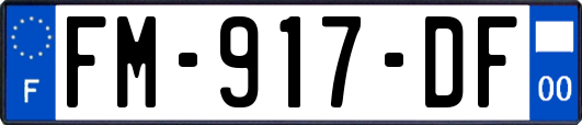 FM-917-DF