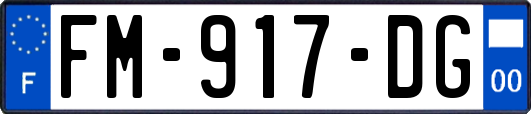 FM-917-DG