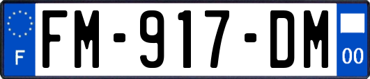 FM-917-DM