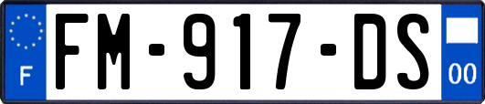 FM-917-DS