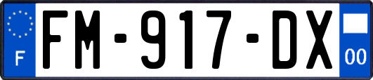 FM-917-DX
