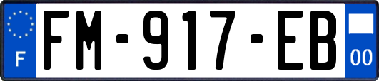 FM-917-EB