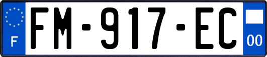 FM-917-EC