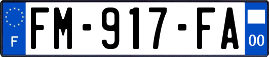 FM-917-FA