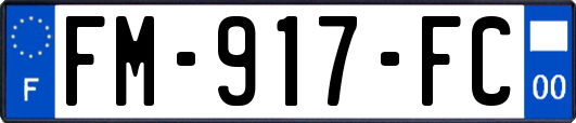 FM-917-FC