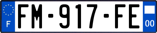 FM-917-FE