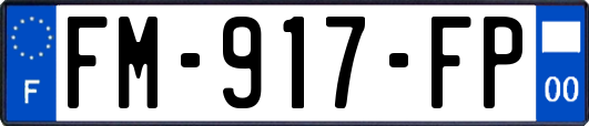FM-917-FP